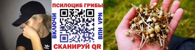 сколько стоит  Старая Купавна  Галлюциногенные грибы мицелий 
