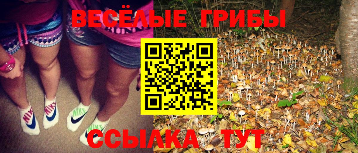 Псилоцибиновые грибы MAGIC MUSHROOMS  Вход с VPN  Старая Купавна 